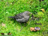 Natur und Landschaften 2012 Bild 140