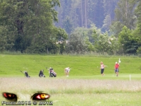 1157_Golfclub_Ruhpolding.jpg