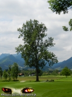 Golfclub Ruhpolding