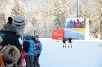 2306_Biathlon_Ruhpolding_2013.jpg