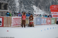 Biathlon Ruhpolding 2013