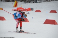 2349_Biathlon_Ruhpolding_2013.jpg