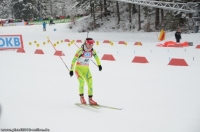 2372_Biathlon_Ruhpolding_2013.jpg