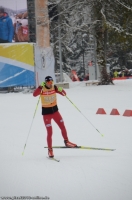 2376_Biathlon_Ruhpolding_2013.jpg