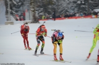 Biathlon Ruhpolding 2013