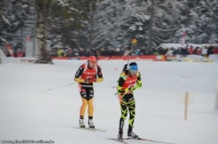 Biathlon Ruhpolding 2013