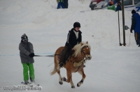 2617_MSC_Ruhpolding_e.V._Skijoering_24._Februar_2013_Bild_4.jpg