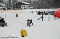 Skijöring MSC Ruhpolding 2013