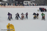 Skijöring MSC Ruhpolding 2013