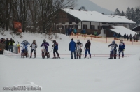 Skijöring MSC Ruhpolding 2013