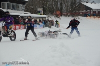 Skijöring MSC Ruhpolding 2013