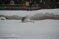 2730_MSC_Ruhpolding_e.V._Skijoering_24._Februar_2013_Bild_117.jpg