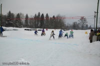 Skijöring MSC Ruhpolding 2013