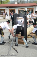 Siegsdorf Maibaum 1. Mai 2013