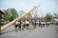 Siegsdorf Maibaum 1. Mai 2013