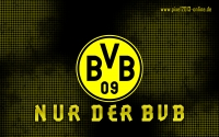 Borussia Dortmund Wallpaper 2014