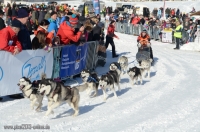 Schlittenhunderennen 2014