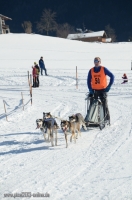 Schlittenhunderennen 2014