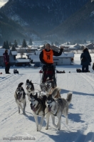 Schlittenhunderennen 2014