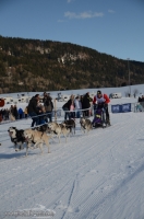 Schlittenhunderennen 2014