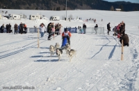 3839_Schlittenhunderennen_2014_Bild_24.jpg