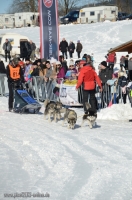 Schlittenhunderennen 2014