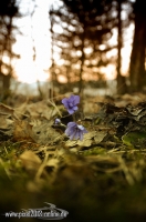 Der Frühling kann kommen