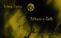 3917_17_Borussia_Dortmund_Wallpaper_2014.jpg
