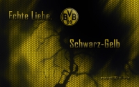 Borussia Dortmund Wallpaper 2014