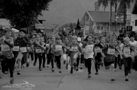 Ruhpoldinger Strassenlauf 30. Mai 2014