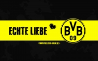 Borussia Dortmund HD Wallpaper 2015 - Echte Liebe
