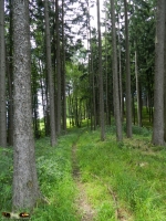 Natur und Landschaften 2012 Bild 22