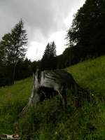 Natur und Landschaften 2012 Bild 113