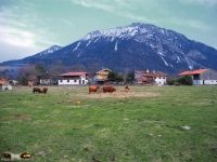 599_Pixel2013_Natur_und_Landschaften_2012_Bild_55.jpg