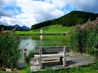 Natur und Landschaften 2012 Bild 129