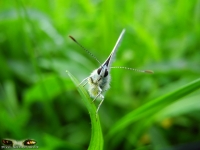 Natur und Landschaften 2012 Bild 131