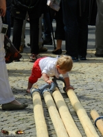 776_Ruhpoldinger_Maibaum_2012.jpg