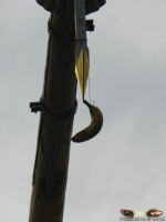 784_Ruhpoldinger_Maibaum_2012.jpg