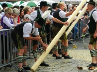 Ruhpoldinger Maibaum 2012