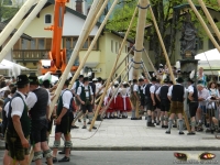 Ruhpoldinger Maibaum 2012