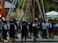 Ruhpoldinger Maibaum 2012