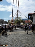 Ruhpoldinger Maibaum 2012