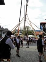 826_Ruhpoldinger_Maibaum_2012.jpg