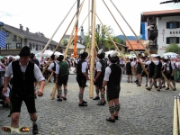 828_Ruhpoldinger_Maibaum_2012.jpg