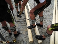 829_Ruhpoldinger_Maibaum_2012.jpg