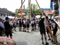 837_Ruhpoldinger_Maibaum_2012.jpg