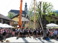 Ruhpoldinger Maibaum 2012