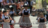 871_Ruhpoldinger_Maibaum_2012.jpg